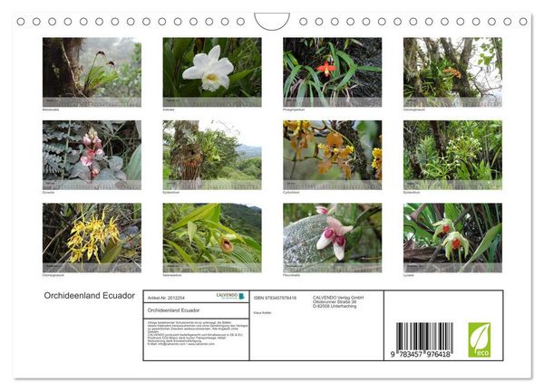 Produktbild: Orchideenland Ecuador (Wandkalender 2026 DIN A4 quer), CALVENDO Monatskalender