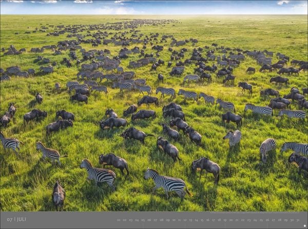 Produktbild: Afrika - Edition Alexander von Humboldt Kalender 2026
