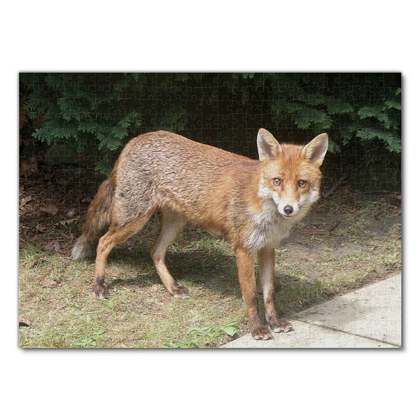 Produktbild: Lais Puzzle Fuchs 500 Teile
