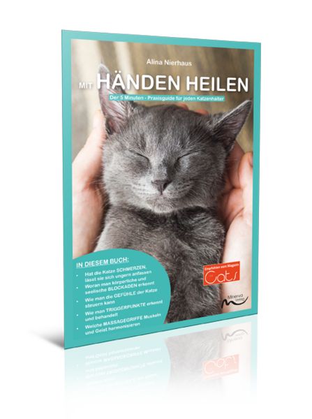 Produktbild: Mit H&auml;nden heilen