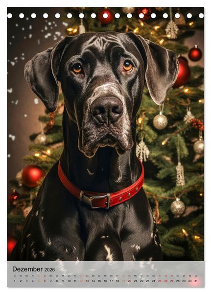 Produktbild: Deutsche Dogge - freundlicher Riese (Tischkalender 2026 DIN A5 hoch), CALVENDO Monatskalender