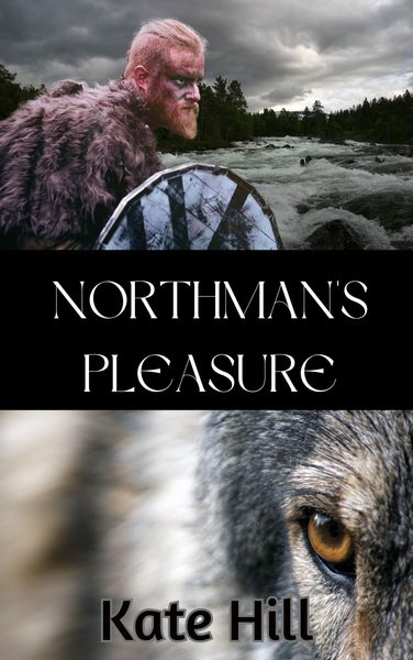 Produktbild: Northman's Pleasure (Northmen's Brides, #2)