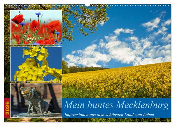 Produktbild: Mein buntes Mecklenburg (Wandkalender 2026 DIN A2 quer), CALVENDO Monatskalender