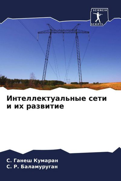 Produktbild: Intellektual'nye seti i ih razwitie