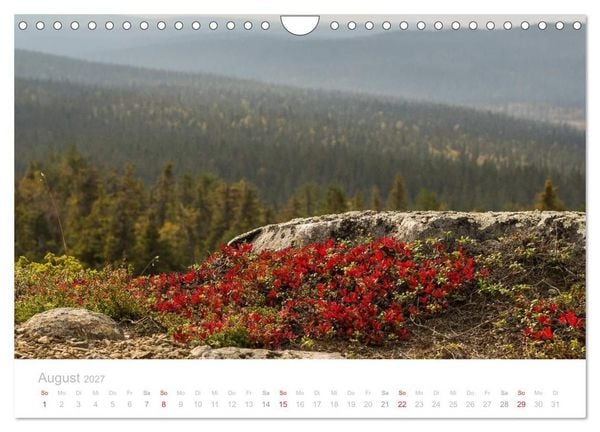 Produktbild: Heimat der Samen (Wandkalender 2027 DIN A4 quer), CALVENDO Monatskalender