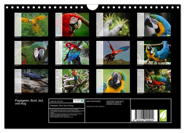 Produktbild: Papageien. Bunt, laut und klug (Wandkalender 2026 DIN A4 quer), CALVENDO Monatskalender