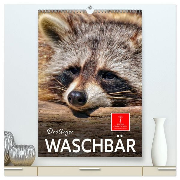 Produktbild: Drolliger Waschb&auml;r (hochwertiger Premium Wandkalender 2026 DIN A2 hoch), Kunstdruck in Hochglanz