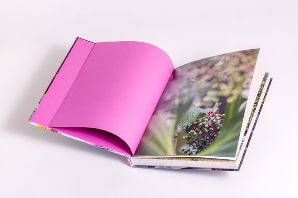 Produktbild: Blumen, Glanz und Tafelfreuden