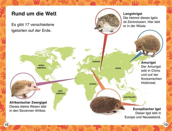 Produktbild: Superleser! Hallo, Igel!