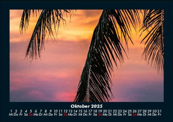 Produktbild: Palmentraum 2025 Fotokalender DIN A5