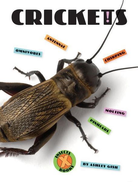 Produktbild: Crickets