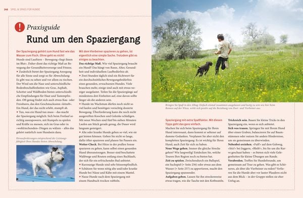 Produktbild: Praxishandbuch Hunde