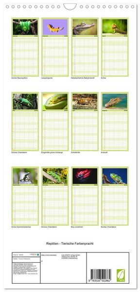 Produktbild: Familienplaner 2026 - Reptilien - Tierische Farbenpracht mit 5 Spalten (Wandkalender, 21 x 45 cm) CALVENDO