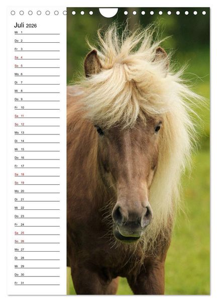 Produktbild: Isl&auml;nder im Portrait (Wandkalender 2026 DIN A4 hoch), CALVENDO Monatskalender