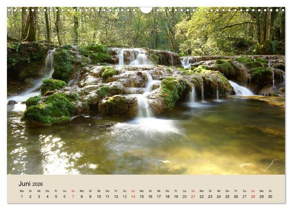 Produktbild: Der Wald. Durch zauberhafte Waldlandschaften (Wandkalender 2026 DIN A3 quer), CALVENDO Monatskalender