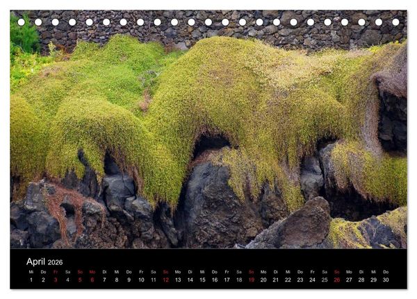 Produktbild: Madeira die Gr&uuml;ne Insel (Tischkalender 2026 DIN A5 quer), CALVENDO Monatskalender