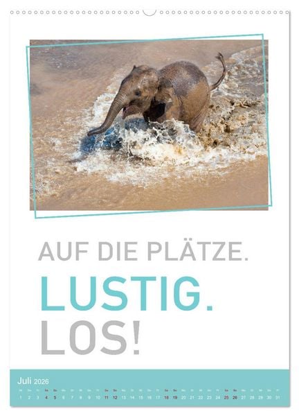 Produktbild: Tierisch bekloppt! (Wandkalender 2026 DIN A2 hoch), CALVENDO Monatskalender