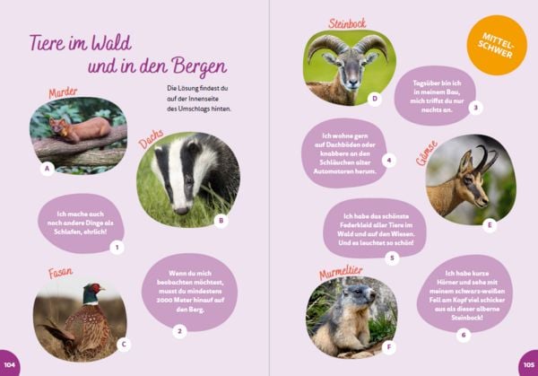 Produktbild: &Ouml;sterreich for kids