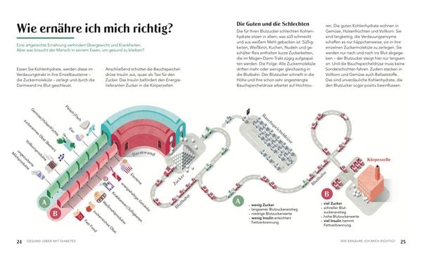 Produktbild: Diabetes-Kochbuch