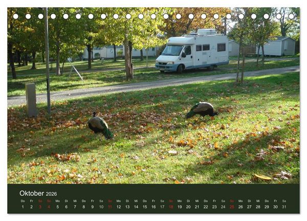 Produktbild: Wohnmobil-Reisen (Tischkalender 2026 DIN A5 quer), CALVENDO Monatskalender