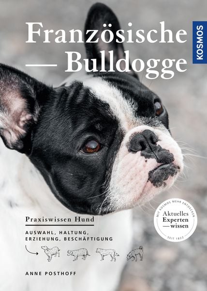 Französische Bulldogge, Taschenbuch von Anne Posthoff, Kosmos, 978-3-440-16296-5