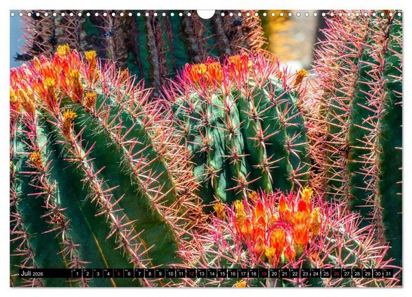 Produktbild: Fuerteventura - Hart am Wind (Wandkalender 2026 DIN A3 quer), CALVENDO Monatskalender