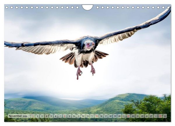 Produktbild: Faszinierende Greifv&ouml;gel hautnah (Wandkalender 2026 DIN A4 quer), CALVENDO Monatskalender