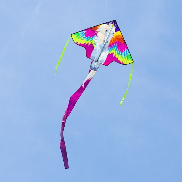 Produktbild: Ecoline Einleiner Drachen Simple Flyer Pegasus Spannweite (Details) 1200 mm Windst&auml;rken-Eignung 2 - 5 bft