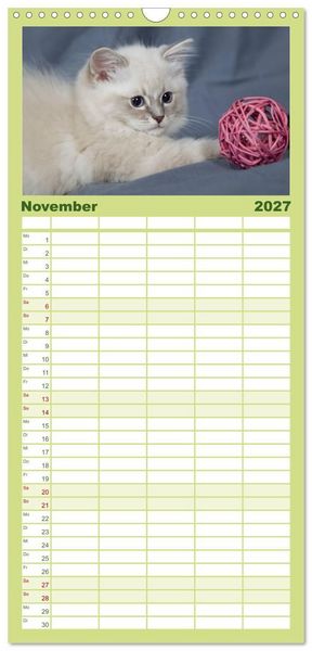 Produktbild: Familienplaner 2027 - Ragdoll Kitten mit 5 Spalten (Wandkalender, 21 x 45 cm) CALVENDO