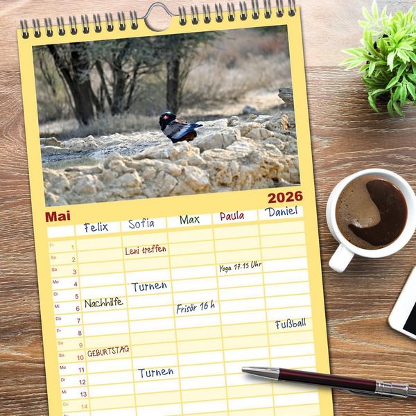 Produktbild: Familienplaner 2026 - Kgalagadi - Fauna und Wildtiere in der Kalahari mit 5 Spalten (Wandkalender, 21 x 45 cm) CALVENDO