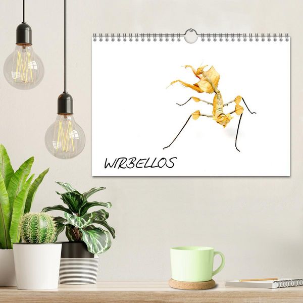 Produktbild: WIRBELLOS (Wandkalender 2026 DIN A4 quer), CALVENDO Monatskalender