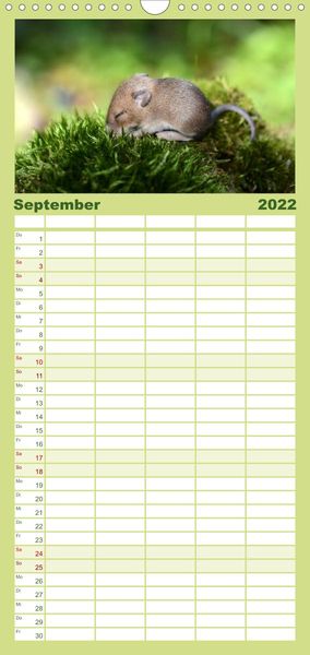 Produktbild: Familienplaner Die lieben Kleinen ... Tierkinder einfach zum Knuddeln (Wandkalender 2022 , 21 cm x 45 cm, hoch)