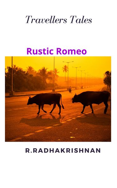 Produktbild: Rustic Romeo (Travellers Tales)