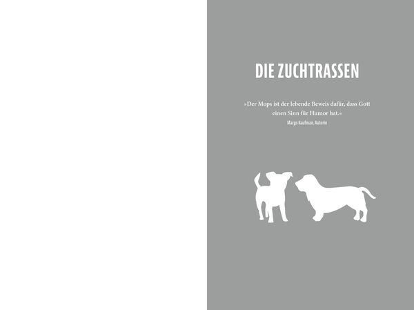 Produktbild: Unn&uuml;tzes Hundewissen