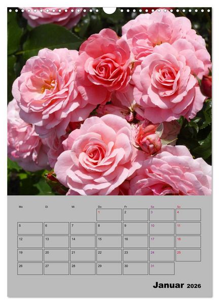 Produktbild: Rosen - Symbol der Liebe und Verehrung (Wandkalender 2026 DIN A3 hoch), CALVENDO Monatskalender