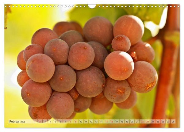 Produktbild: Wein- und Rebsorten aus Rheinland-Pfalz (Wandkalender 2025 DIN A3 quer), CALVENDO Monatskalender