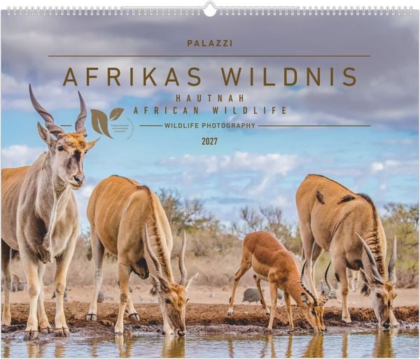 Produktbild: Hautnah - Afrikas Wildnis 2027