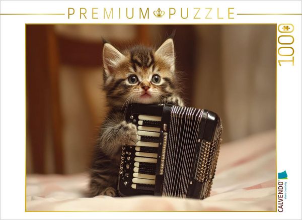 Produktbild: CALVENDO Puzzle Harmonika-K&auml;tzchen | 1000 Teile Lege-Gr&ouml;&szlig;e 64x48cm Foto-Puzzle f&uuml;r gl&uuml;ckliche Stunden