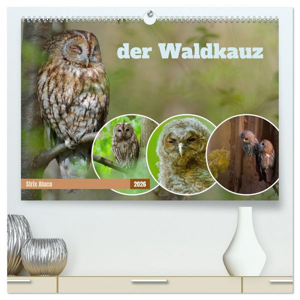 Produktbild: der Waldkauz - Strix Aluco (hochwertiger Premium Wandkalender 2026 DIN A2 quer), Kunstdruck in Hochglanz