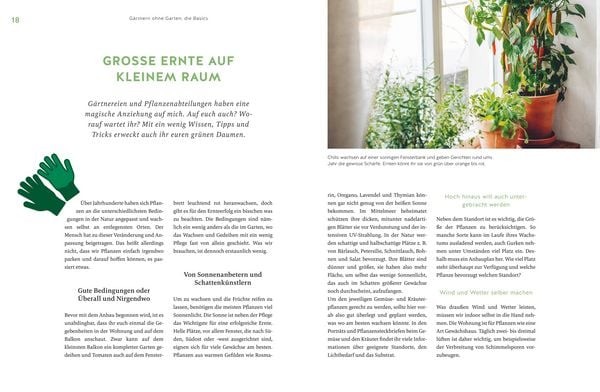 Produktbild: Deine Fensterbank kann Garten!