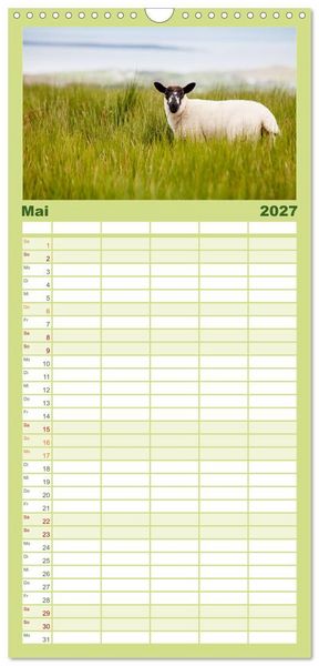 Produktbild: Familienplaner 2027 - Unter Schafen - Wegbegleiter auf Reisen mit 5 Spalten (Wandkalender, 21 x 45 cm) CALVENDO