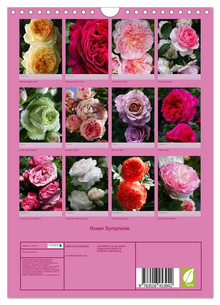 Produktbild: Rosen Symphonie (Wandkalender 2026 DIN A4 hoch), CALVENDO Monatskalender