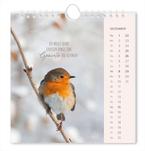 Postkartenkalender 2024 Lichtblicke