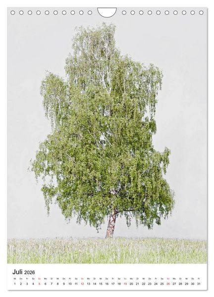 Produktbild: B&auml;ume (Wandkalender 2026 DIN A4 hoch), CALVENDO Monatskalender