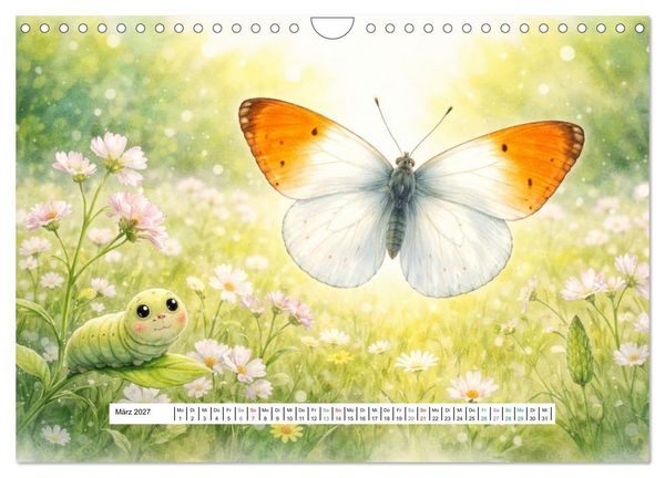Produktbild: Vom Kriechen zum Fliegen (Wandkalender 2027 DIN A4 quer), CALVENDO Monatskalender