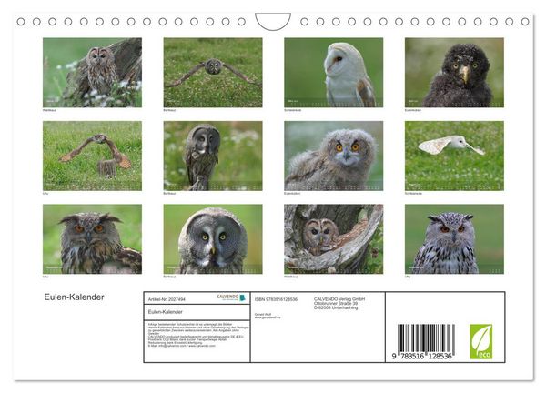 Produktbild: Eulen-Kalender (Wandkalender 2026 DIN A4 quer), CALVENDO Monatskalender