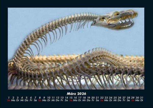 Produktbild: London 2026 Fotokalender DIN A4