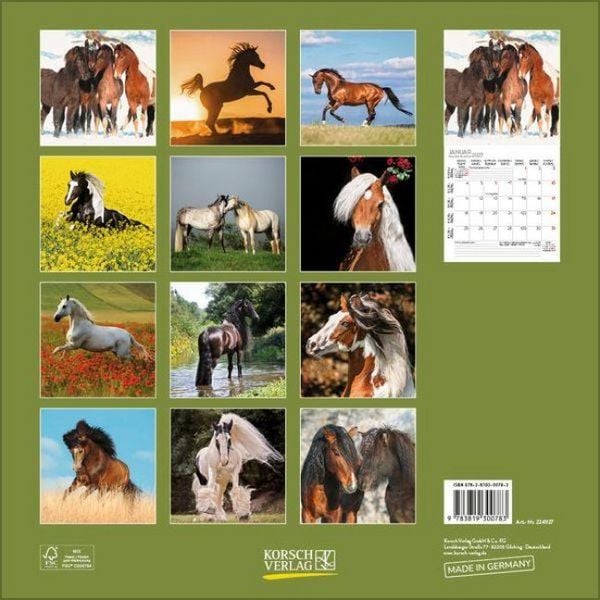 Produktbild: Horses 2027