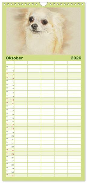 Produktbild: Familienplaner 2026 - Chihuahuas 2026 mit 5 Spalten (Wandkalender, 21 x 45 cm) CALVENDO