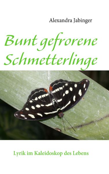 Produktbild: Bunt gefrorene Schmetterlinge